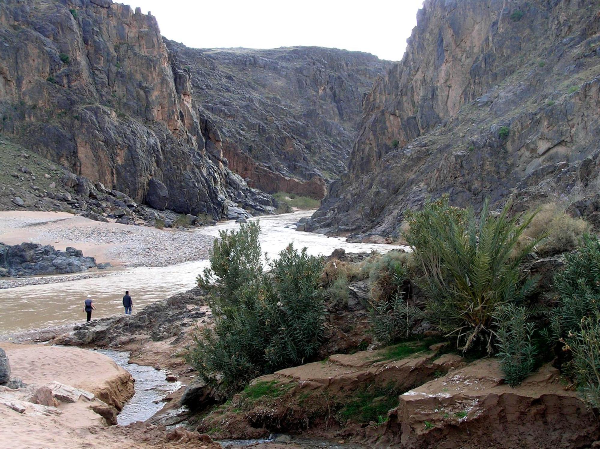Hostel Kasbah Dar Bahnini Skoura Zewnętrze zdjęcie